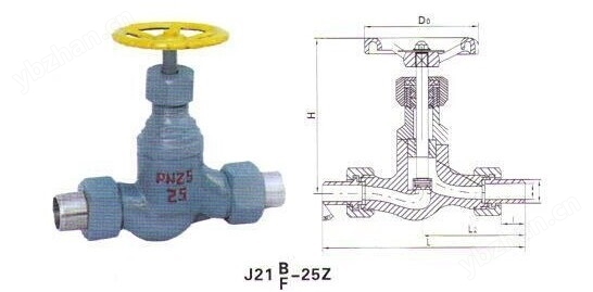 外螺纹氨用截止阀(图2)