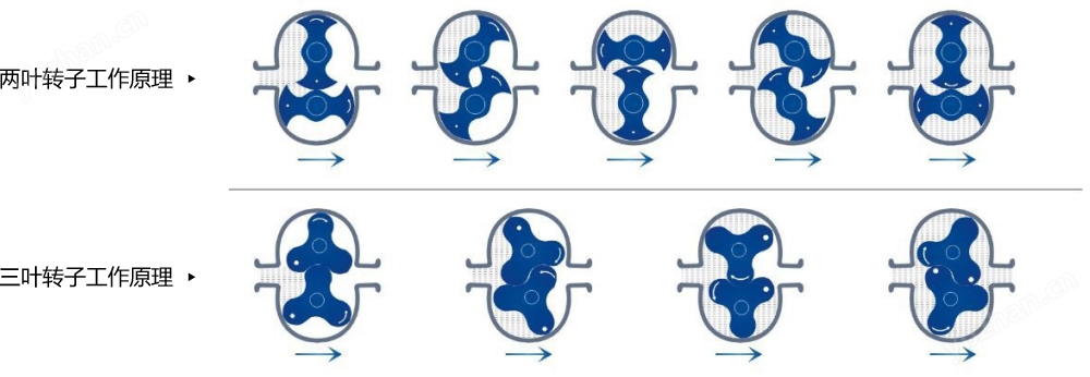 通用型转子泵(图3)