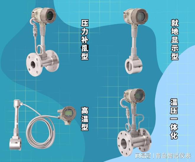 涡街流量计和电磁流量计的区别【和晟测控】(图2)