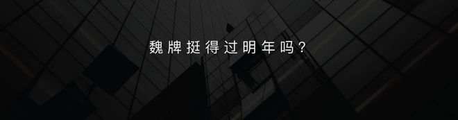 智能革新魏牌全新蓝山上市售价2998万元起(图3)