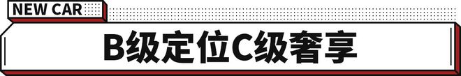 大众帕萨特风格巨变！更年轻也更智能 谁说油车只能躺平？(图10)